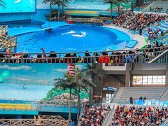 -海合安成都极地海洋公园