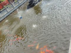 -会龙寺