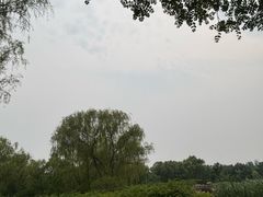 -燕郊植物园