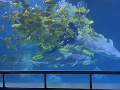 -太平洋海底世界