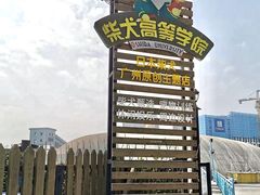 -柴犬高等学院·狗咖·柴犬售卖·宠物训练