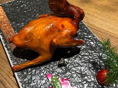 -大鸽饭(岗顶店)