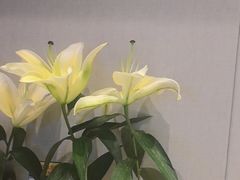 -聆桂烤鸭·金奖烤鸭(静联广场店)