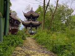 -青城山