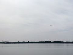 -丁香湖公园