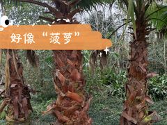 -桤木河湿地公园