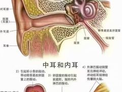 -自然之声助听器·呼吸机(康桥旗舰店)