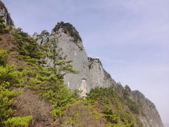 -开口笑·精选水饺