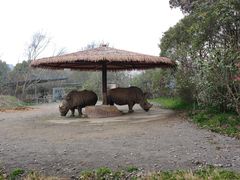 -宁波野生动物园