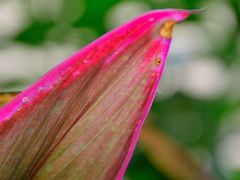 DSC_3406-广州锦绣香江度假别墅