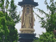 -溱湖国家湿地公园