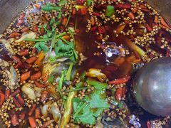-麻辣巅峰美蛙鱼头火锅(犀浦店)