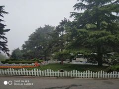 -青岛德国总督楼旧址博物馆