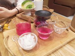 -柴务处·柴犬主题狗咖