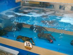 -农工商超市(金沙江路店)