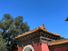 -北陵公园