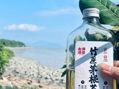 -深圳湾公园(南山区)