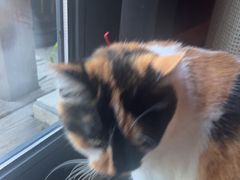 -BUND·FIVE外滩5号(天际店)