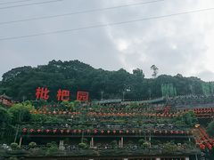 -枇杷园食为鲜火锅(南山店)