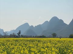 -村上春树