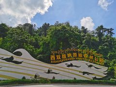 -西双版纳原始森林公园