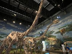 -自贡恐龙博物馆