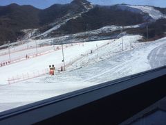 -骏途旅游