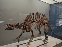 -湖南省地质博物馆