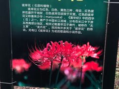 -佛爷洞旅游景区