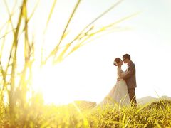 -北京东方普罗旺斯薰衣草庄园