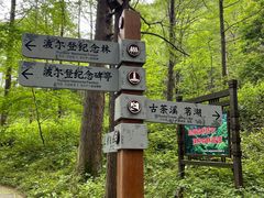 -波尔登森林公园