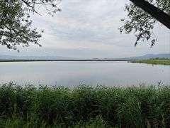 -野鸭湖国家湿地公园