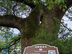 -新安江山水画廊风景区