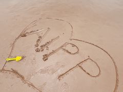 -青岛金沙滩