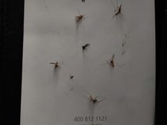 -扬州东关街文昌阁桔子水晶酒店