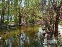 -大悲禅寺