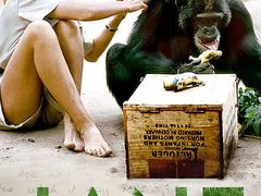 -万达影城(锦华万达广场IMAX店)