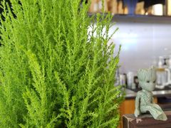 -茶缸AMOKKA COFFEE