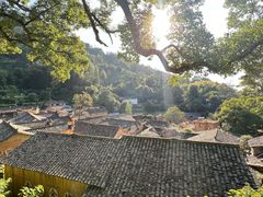 -杨家堂村