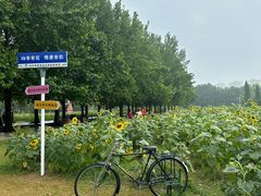 -洛阳市隋唐城遗址植物园