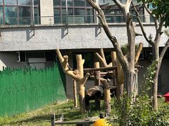 -沈阳森林动物园
