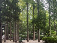 -汇龙潭