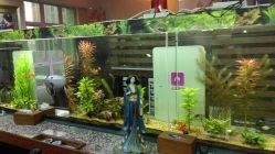 IMAG0035-小左美发