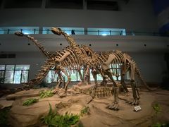 -自贡恐龙博物馆