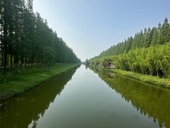 -黄海国家森林公园