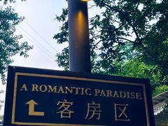 -Local泰莲庭(虹鳟鱼店)