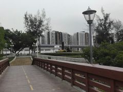 -宝安西湾红树林湿地公园