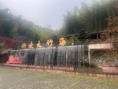 -宁波浙东大竹海景区