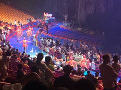 -广州长隆国际大马戏