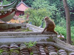 -黔灵山公园